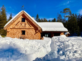Chalet Wildalpen (in Ruhelage & mit Wellness)
